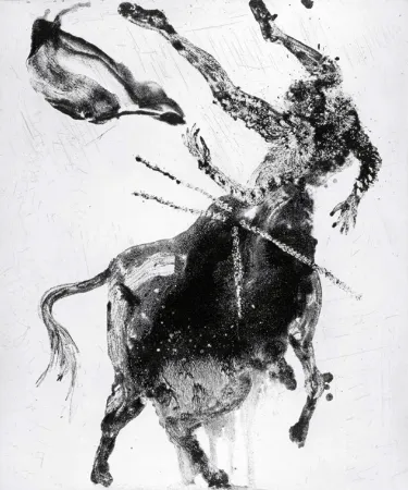 エッチングと　アクチアント Barcelo - Lanzarote 62