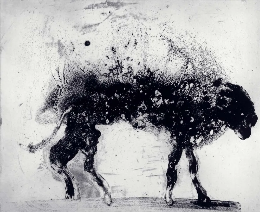 エッチングと　アクチアント Barcelo - Lanzarote 8