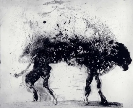 エッチングと　アクチアント Barcelo - Lanzarote 8