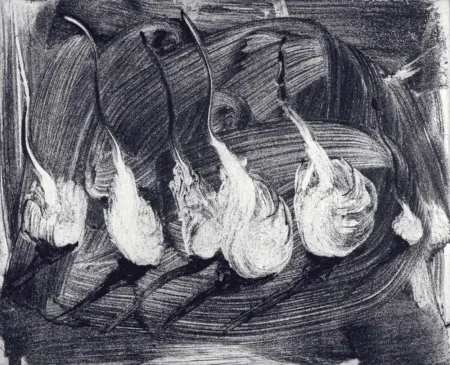 エッチングと　アクチアント Barcelo - Lanzarote 9