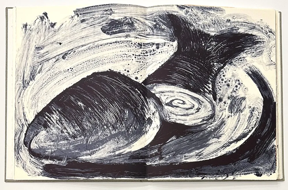 挿絵入り本 Barcelo - Noise - Deluxe Edition