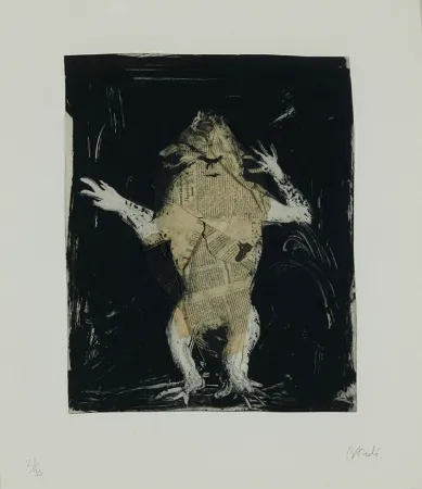 アクチアント Barcelo - Serie Lanzarote 17