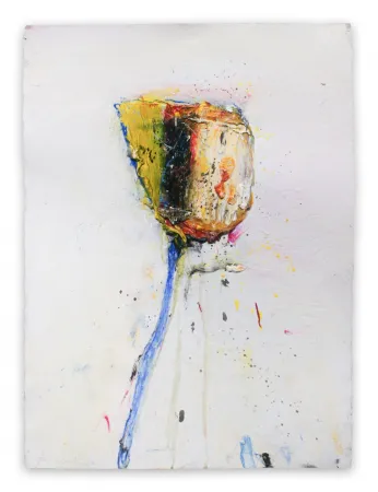 技術的なありません Baribeau - Stem #204