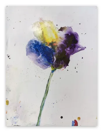 技術的なありません Baribeau - Stem #28