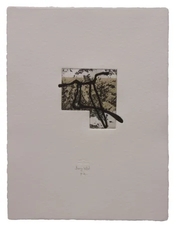 エッチングと　アクチアント Baroja-Collet - Animal