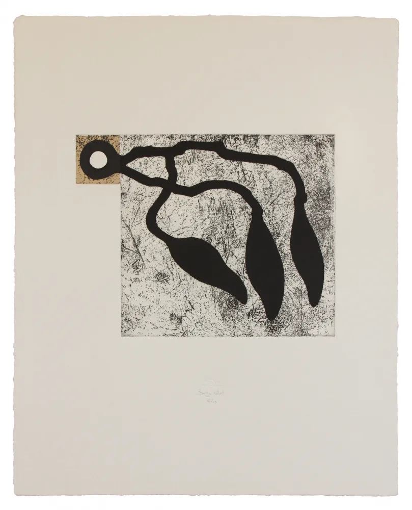 エッチングと　アクチアント Baroja-Collet - Atrapados