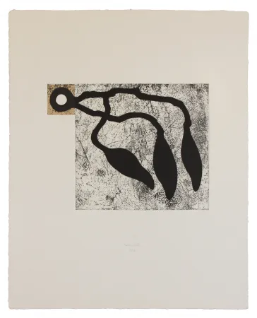 エッチングと　アクチアント Baroja-Collet - Atrapados