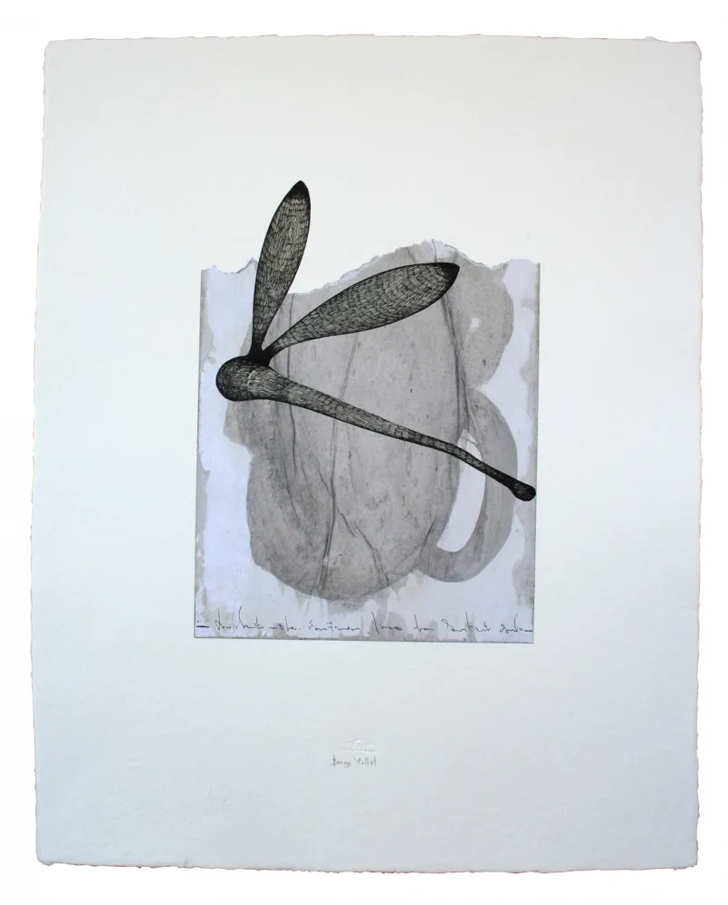 多数の Baroja-Collet - Collage