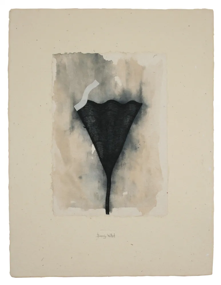 多数の Baroja-Collet - Collage