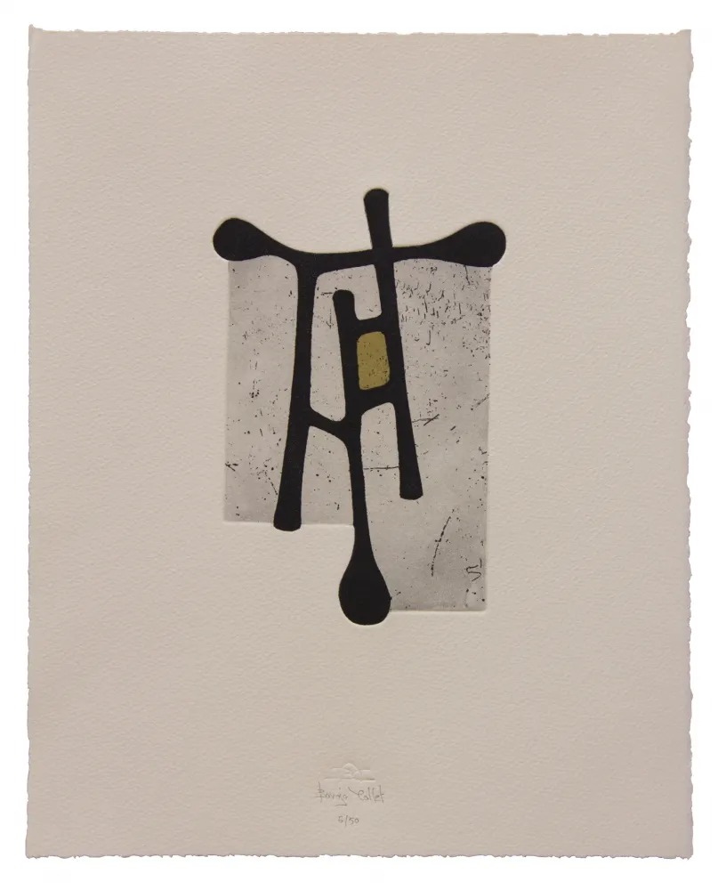 エッチングと　アクチアント Baroja-Collet - Contraseña