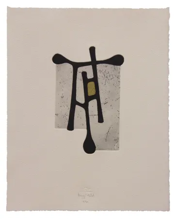 エッチングと　アクチアント Baroja-Collet - Contraseña