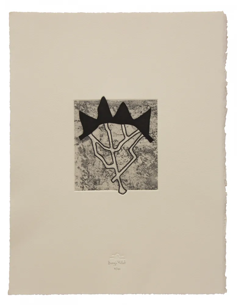 エッチングと　アクチアント Baroja-Collet - Estructurada