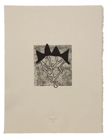 エッチングと　アクチアント Baroja-Collet - Estructurada