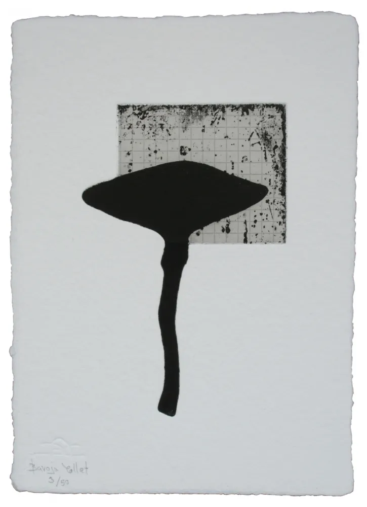 エッチングと　アクチアント Baroja-Collet - Fetiche