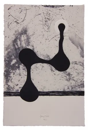 エッチングと　アクチアント Baroja-Collet - Free them all