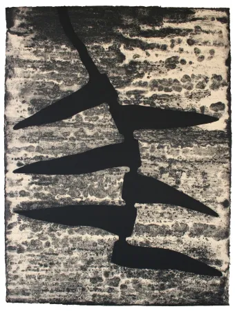 エッチングと　アクチアント Baroja-Collet - Garoa