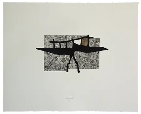 エッチングと　アクチアント Baroja-Collet - Goleta