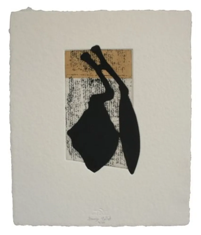 エッチングと　アクチアント Baroja-Collet - Laia