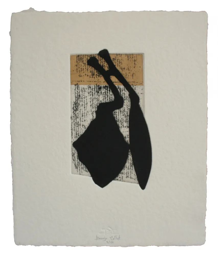 エッチングと　アクチアント Baroja-Collet - Laia