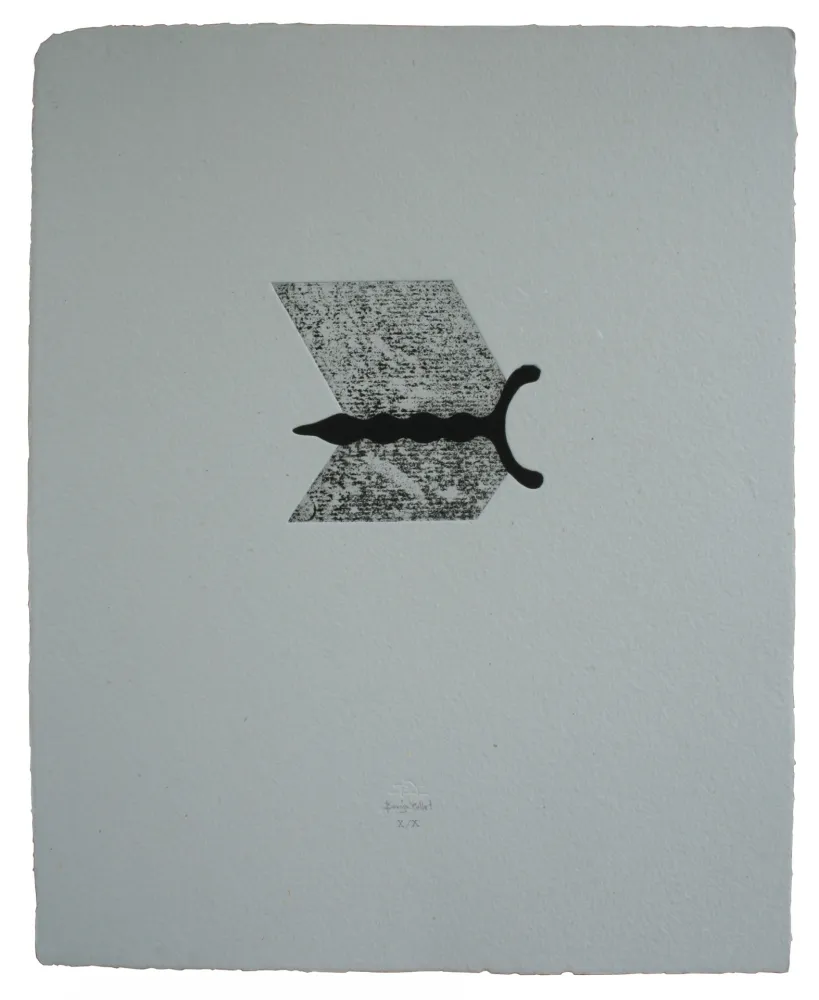 エッチングと　アクチアント Baroja-Collet - Mallarmeren betazalak VIII