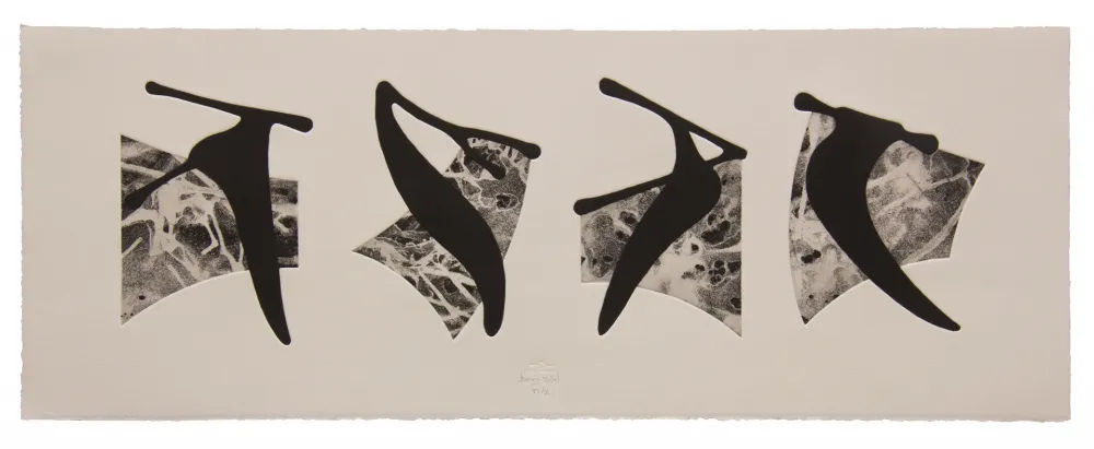 エッチングと　アクチアント Baroja-Collet - Neguko kronika