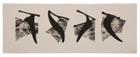 エッチングと　アクチアント Baroja-Collet - Neguko kronika