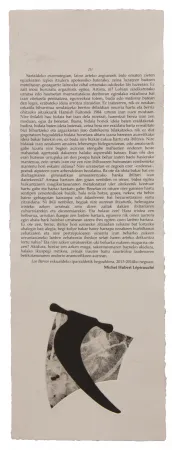 挿絵入り本 Baroja-Collet - Neguko kronika hegoaldeko ordeketan