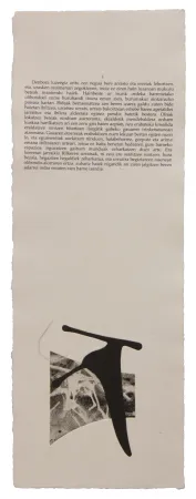 挿絵入り本 Baroja-Collet - Neguko kronika hegoaldeko ordeketan