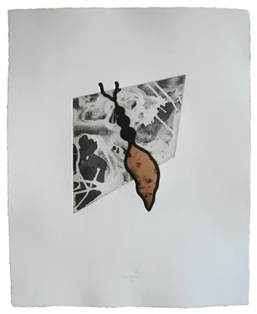 エッチングと　アクチアント Baroja-Collet - Reina