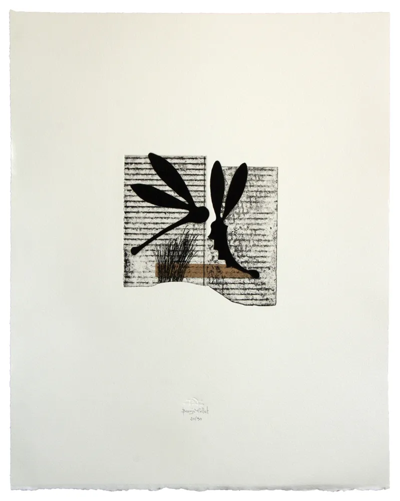 エッチングと　アクチアント Baroja-Collet - Seducción