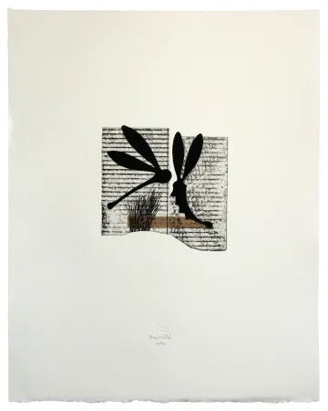 エッチングと　アクチアント Baroja-Collet - Seducción