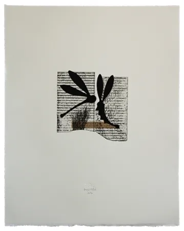 エッチングと　アクチアント Baroja-Collet - Seducción