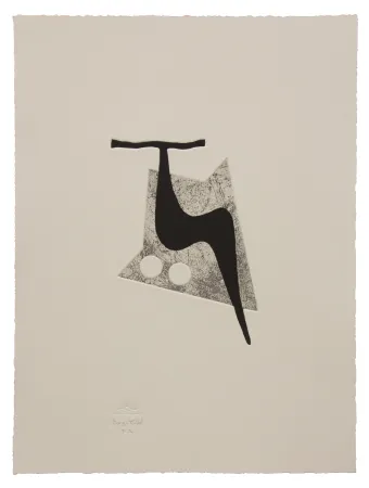 エッチングと　アクチアント Baroja-Collet - Vigoroso