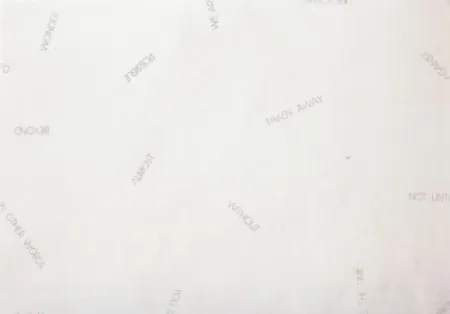 リトグラフ Barry - Sans titre