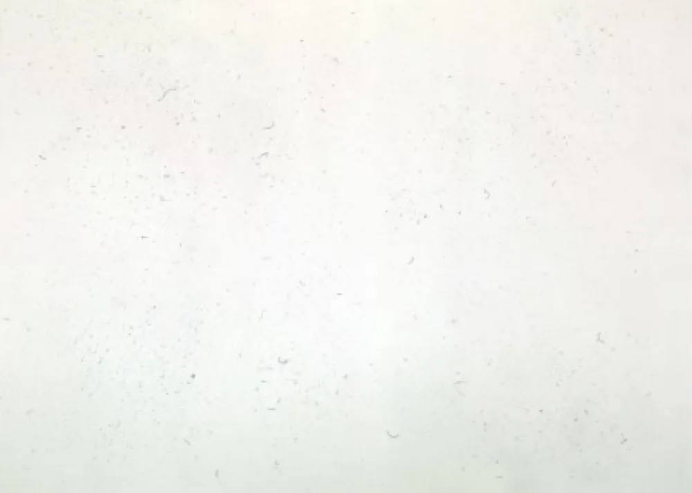 彫版 Bartolini - Dust Chaser 1