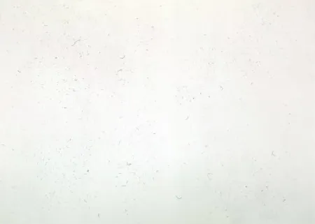 彫版 Bartolini - Dust Chaser 1