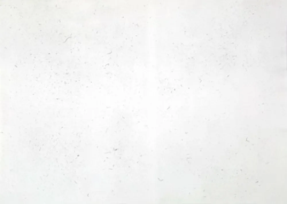 彫版 Bartolini - Dust Chaser 2