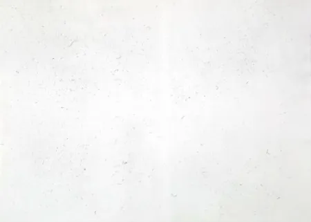 彫版 Bartolini - Dust Chaser 2