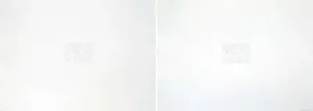 彫版 Bartolini - Dust Chaser