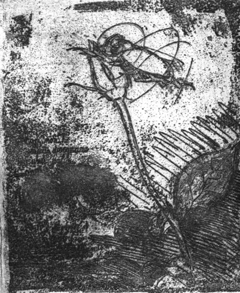 エッチング Bartolini - La rosa