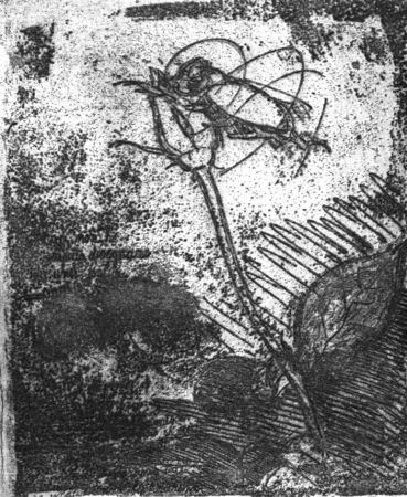 エッチング Bartolini - La rosa