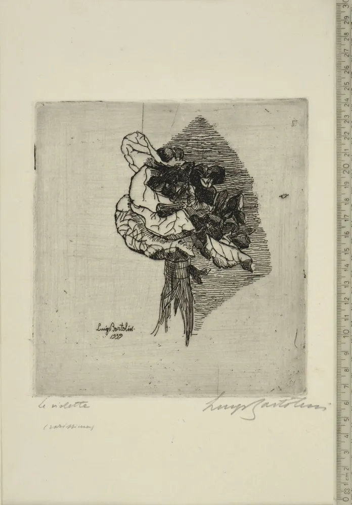 エッチング Bartolini - LE VIOLETTE