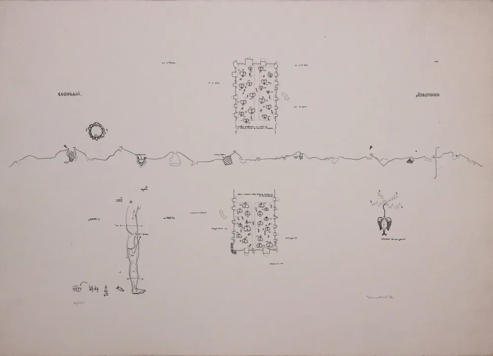 リトグラフ Baruchello - Campioni