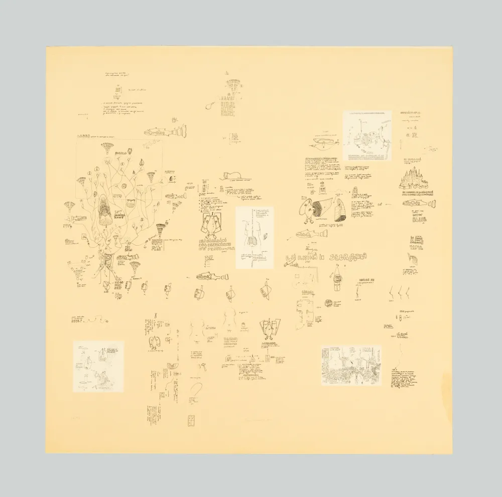 シルクスクリーン Baruchello - Senza titolo