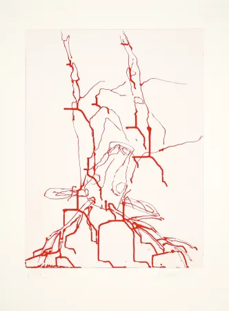 アクチアント Baselitz - 