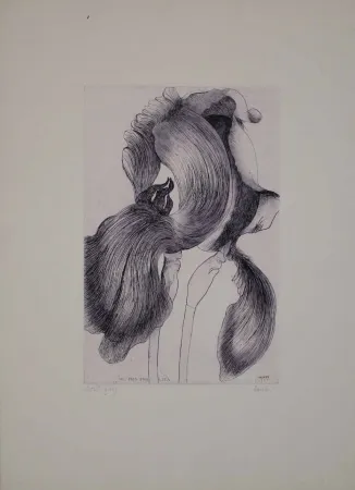 エッチングと　アクチアント Baskin - An Iris for Lisa