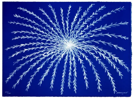 リトグラフ Baudelocque - Etoile végétale