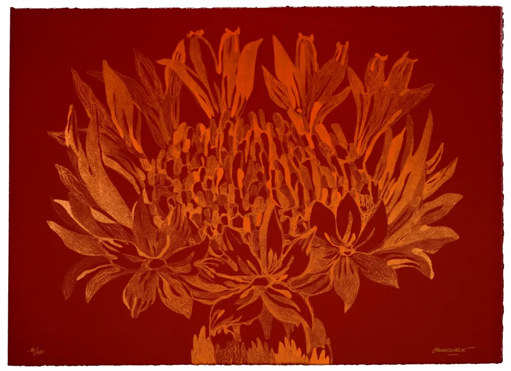 リトグラフ Baudelocque - Lys