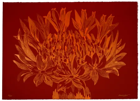 リトグラフ Baudelocque - Lys