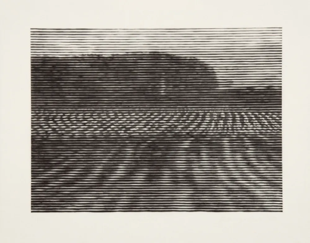 木版 Baumgartner - Gelände